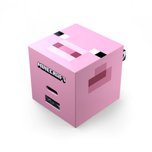 Powertek Minecraft Dual USB-A / USB-C Wall Charger – Liquipel